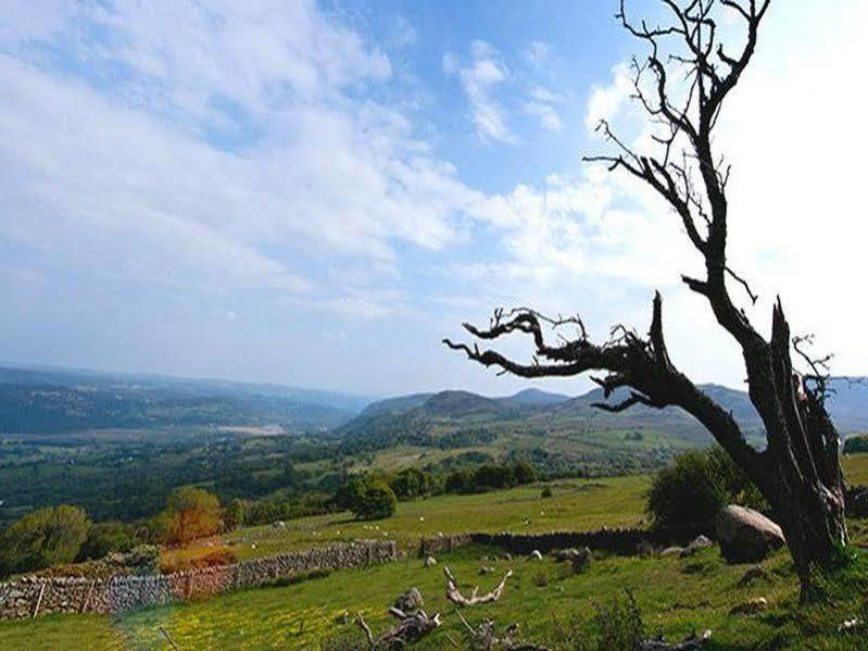 Yha Rowen - Hostel Llanbedr-y-cennin Buitenkant foto